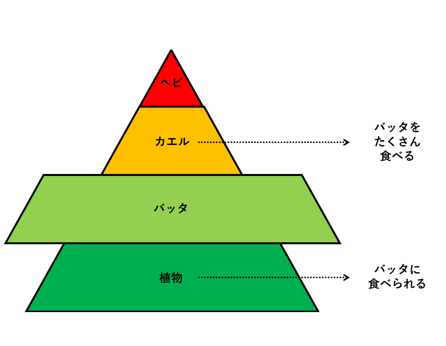 人気ダウンロード 食物 連鎖 ピラミッド 図 7804 食物 連鎖 ピラミッド 図