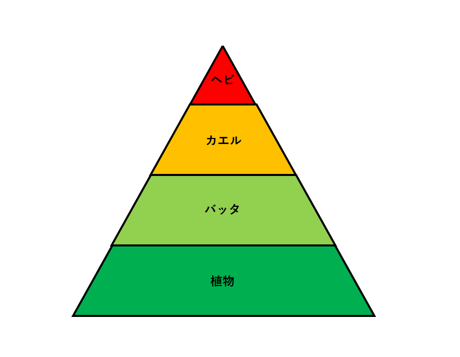 連鎖 ピラミッド 食物 【完全版】海の食物連鎖はピラミッド型！