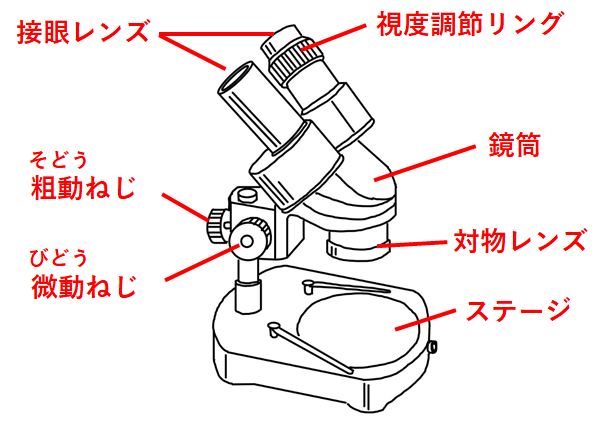 中1生物 顕微鏡の使い方 中学理科 ポイントまとめと整理
